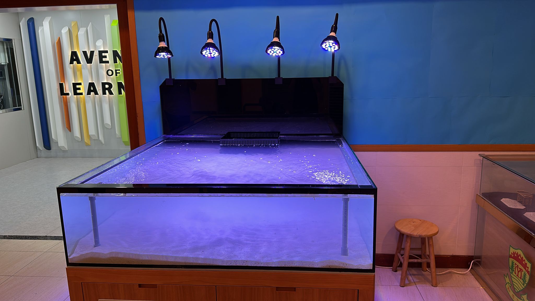 觀塘共享辦公室公共區觀賞魚缸工程案例