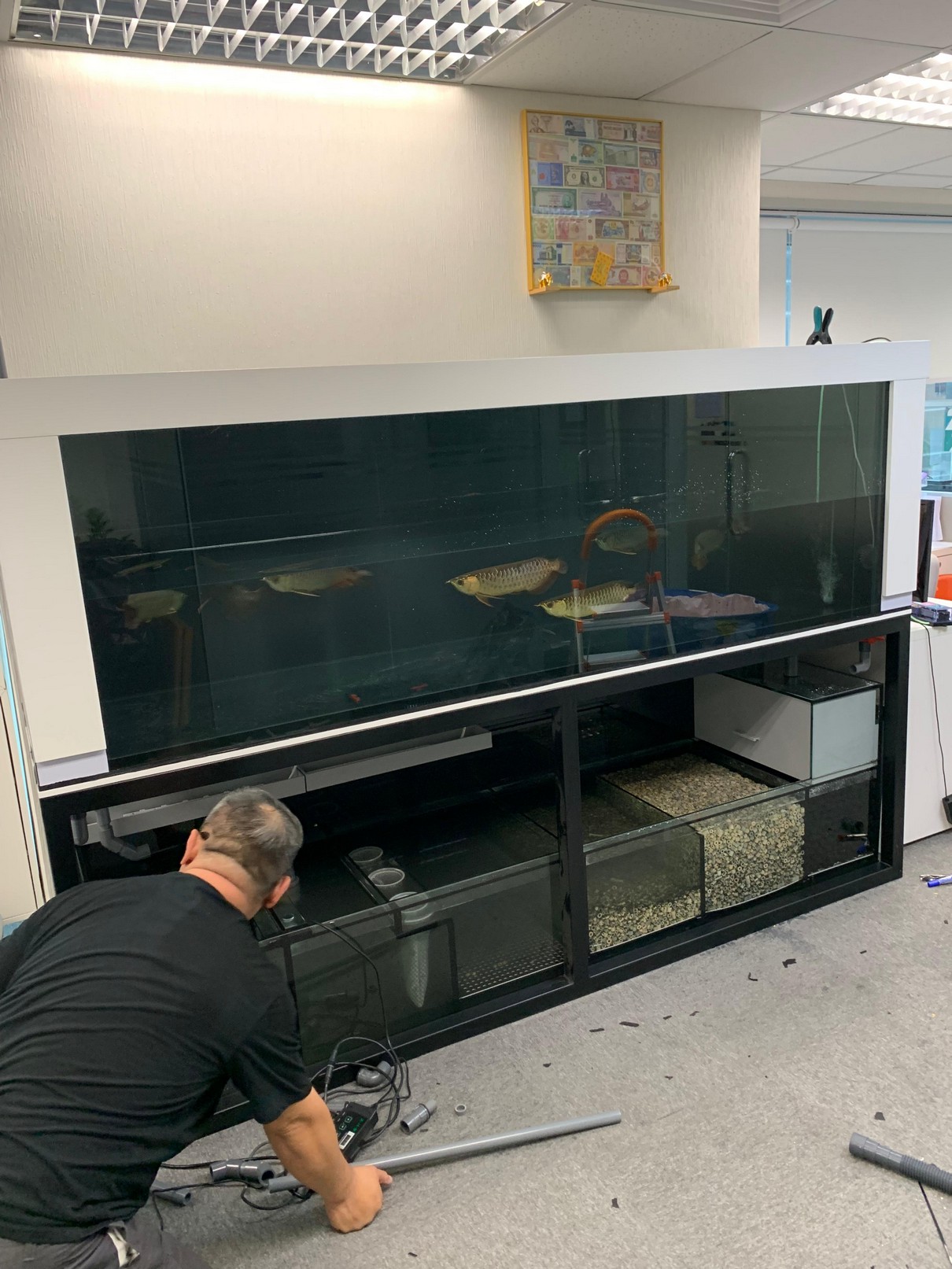 觀塘共享空間開放式辦公室魚缸案例