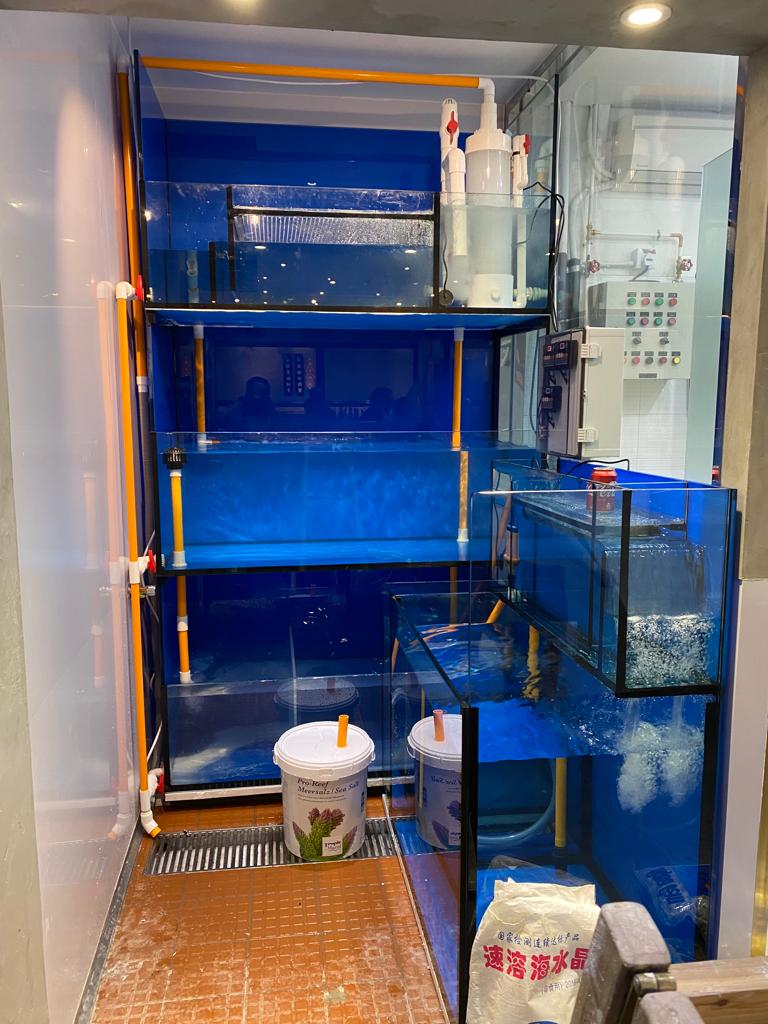 旺角火鍋店海鮮展示缸安裝案例