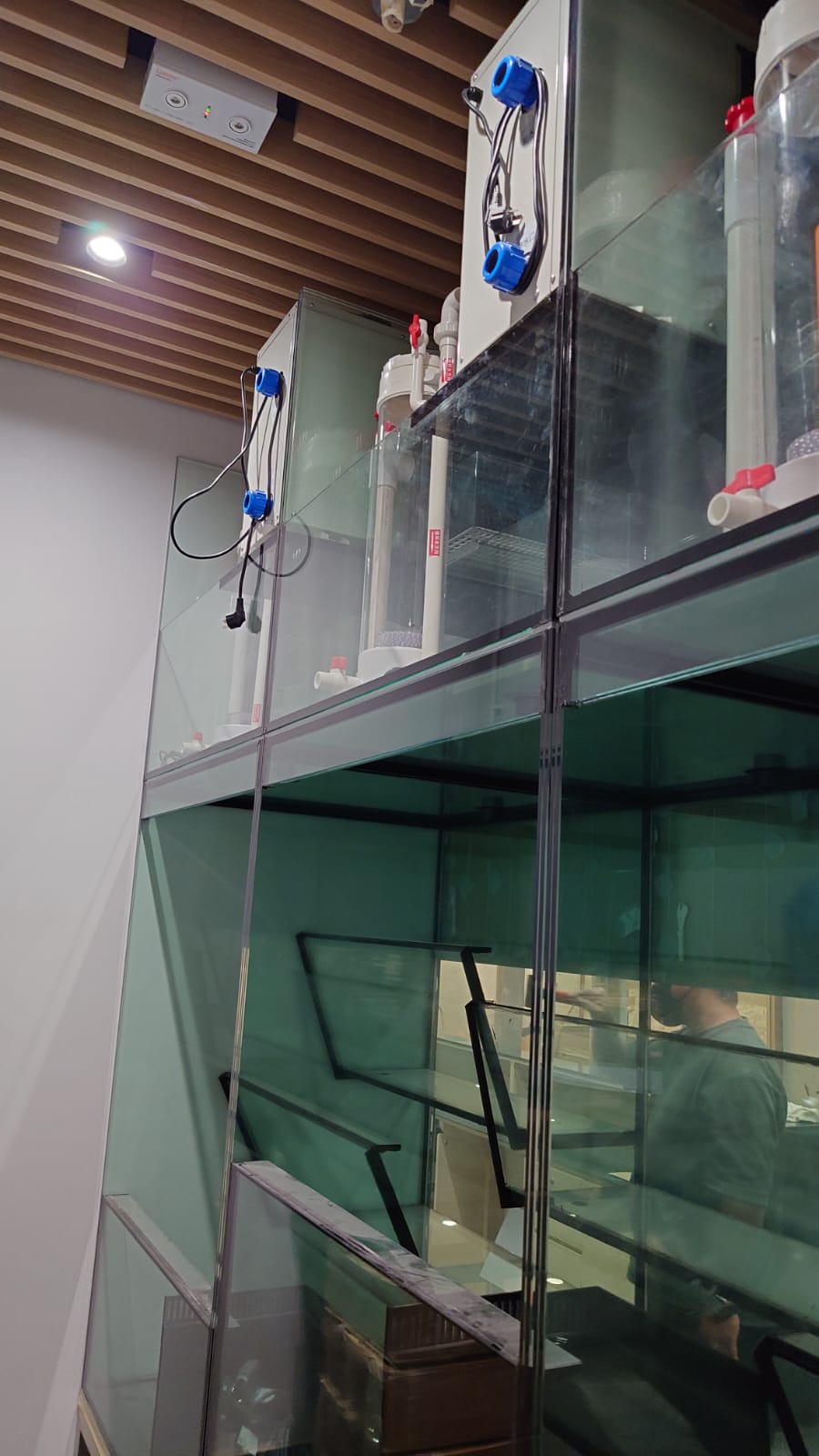 元朗酒樓翻新海鮮缸工程案例