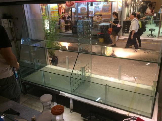 餐廳觀賞魚缸 — 水草造景熱帶魚裝飾缸