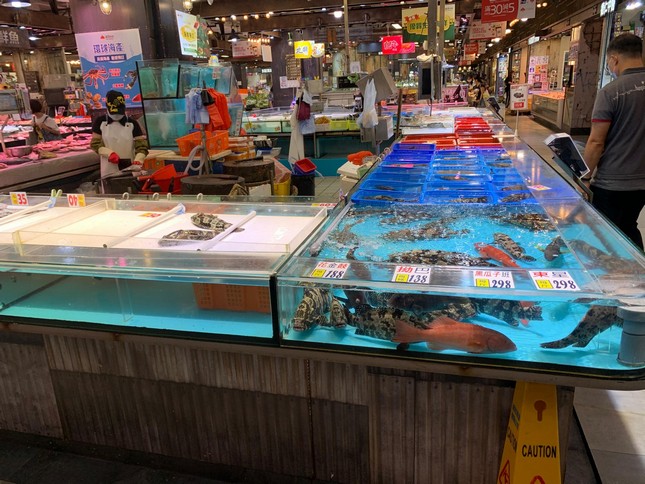 超市海鮮缸 — 超級市場活海鮮展示缸工程