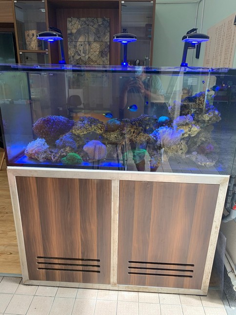 魚缸保養 - 定期魚缸清潔保養